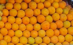 alignement d'oranges