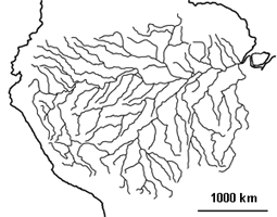 Structure fractale d'un fleuve