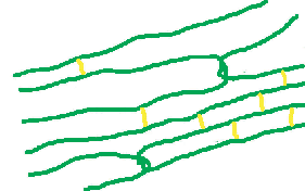 schéma d'une fibre